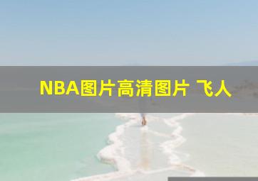 NBA图片高清图片 飞人